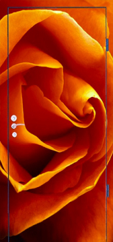 Дверь с фотопечатью №11